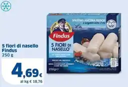 Sigma 5 fiori di nasello Findus offerta