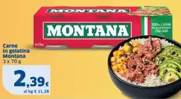 Sigma Carne in gelatina Montana offerta