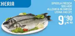 Supermercati Dok Spigola fresca 300/400 allevata in grecia (zona fao 37) offerta