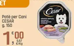 Supermercati Dok Patè per Cani CESAR offerta