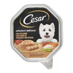 Spazio Conad LINEA CESAR offerta