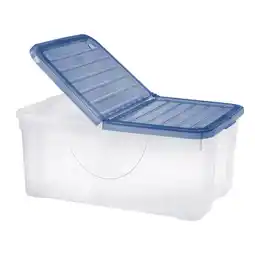 Spazio Conad CONTENITORE BOX DODO'S TONTARELLI offerta