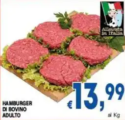 DEM Hamburger di bovino adulto offerta