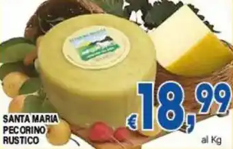 DEM Santa maria pecorino rustico offerta