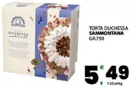 Interspar Torta duchessa SAMMONTANA offerta