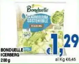 DEM Bonduelle icerberg offerta