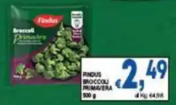 DEM Findus broccoli primavera offerta