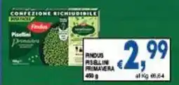 DEM Findus primavera offerta