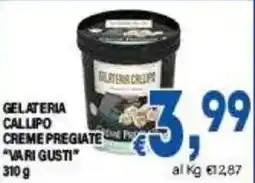 DEM Gelateria callipo creme pregiate offerta