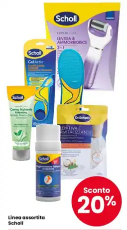 Interspar Linea assortita Scholl offerta
