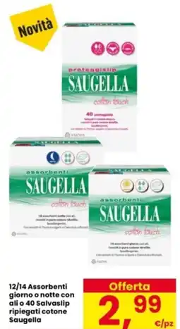 Interspar 12/14 Assorbenti giorno o notte con ali o 40 Salvaslip ripiegati cotone Saugella offerta
