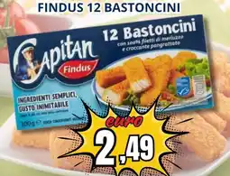 A Casa Mia Findus 12 bastoncini offerta