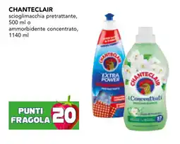 Esselunga CHANTECLAIR scioglimacchia pretrattante offerta