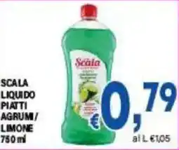 DEM Scala liquido piatti agrumi/ limone offerta