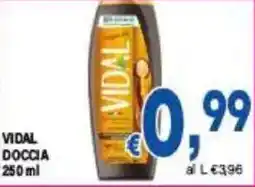 DEM Vidal doccia offerta