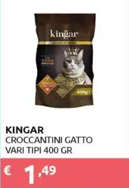 PiùMe Kingar croccantini gatto offerta