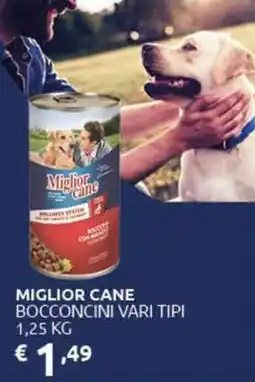 PiùMe Miglior cane bocconcini offerta
