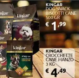 PiùMe Kingar crocchette cane manzo offerta
