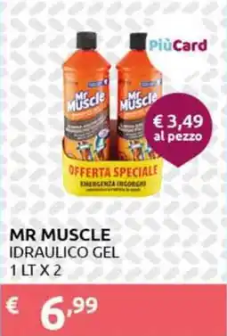 PiùMe Mr muscle idraulico gel offerta