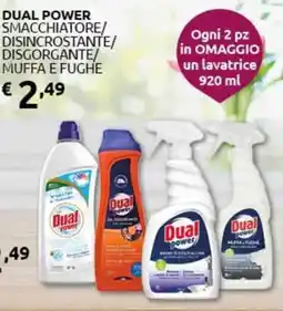 PiùMe Dual power smacchiatore/ disincrostante/ disgorgante/ muffa e fughe offerta