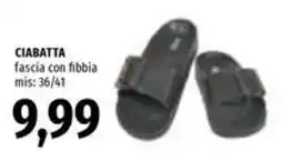 Famila CIABATTA fascia con fibbia offerta