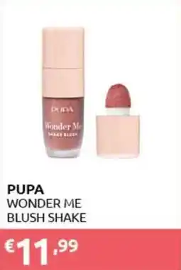 PiùMe Pupa wonder me blush shake offerta