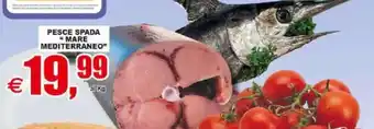 Pesce spada "mare mediterraneo"