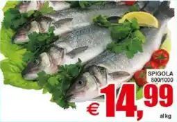 Pewex Spigola 800/1000 offerta