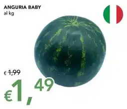Migross Superstore Anguria baby offerta