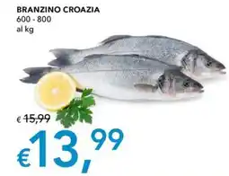 Migross Superstore Branzino croazia offerta