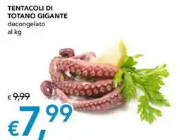Migross Superstore Tentacoli di totano gigante offerta