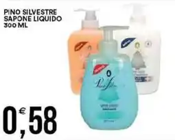 Vantaggio Cash&Carry Pino silvestre sapone liquido offerta