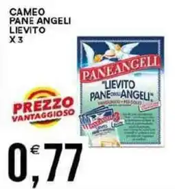Vantaggio Cash&Carry Cameo pane angeli lievito x3 offerta