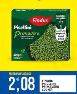 Vantaggio Cash&Carry Findus pisellini primavera offerta