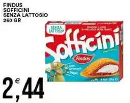Vantaggio Cash&Carry Findus sofficini senza lattosio offerta