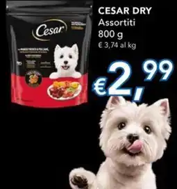 Migross Superstore Cesar dry offerta
