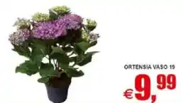 Pewex Ortensia vaso 19 offerta