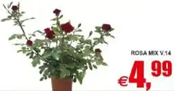Pewex Rosa mix v.14 offerta