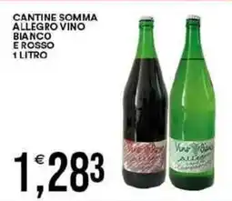 Vantaggio Cash&Carry Cantine somma allegro vino bianco e rosso offerta