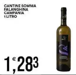 Vantaggio Cash&Carry Cantine somma falanghina campania offerta