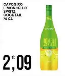 Vantaggio Cash&Carry Capogiro limoncello spritz cocktail offerta