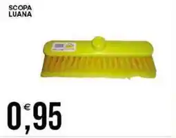 Vantaggio Cash&Carry Scopa luana offerta