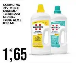 Vantaggio Cash&Carry Amuchina pavimenti agrumi/ frescezza alpina/ fresh aloe offerta