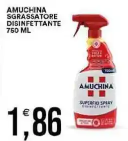 Vantaggio Cash&Carry Amuchina sgrassatore disinfettante offerta