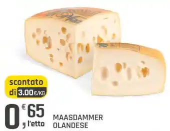Maasdammer olandese