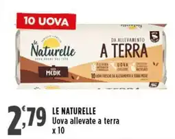 Rossotono Carrefour LE NATURELLE Uova allevate a terra x 10 offerta