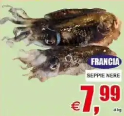 Pewex Francia seppie nere offerta