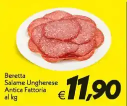 Iper Super Conveniente Beretta Salame Ungherese Antica Fattoria offerta
