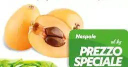 Iper Super Conveniente Nespole offerta