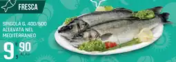 Supermercati Dok Spigola g. 400/600 allevata nel mediterraneo offerta
